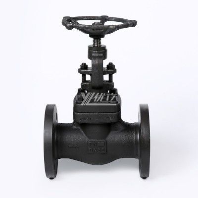 YOULI High Temperature Steam API ANSI 150-800LB 304 316 Stainless Steel A105 JIS 10K PN16-64 Forged Manual Flagned Globe Valve