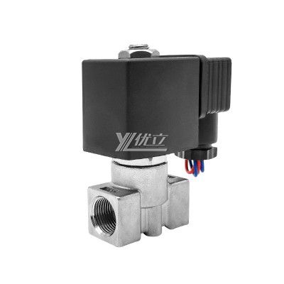 YOULI 2W Stainless Steel 304 316 Two Way Npt Bsp AC220V DC24V Water Oil Gas Straight Female Thread Mini Solenoid Valve
