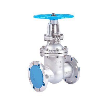 YOULI Rising Steam High Temperature Steam High Pressure 150LB 304 316 Stainless Steel 1.6-6.4mpa WCB Flange Flanged Gate Valve
