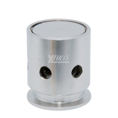 Stainless Steel Food Grade Fix Relief Pressure Vacuum Valve