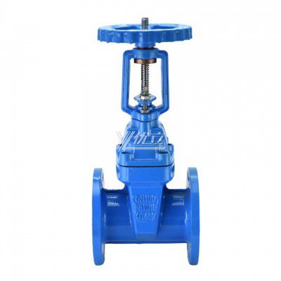 YOULI Zero Leakage Z45X ANSI 150LB 304 316 Stainless Steel Cast Iron PN16 Rising Stem Soft Seal Flanged Gate Valve