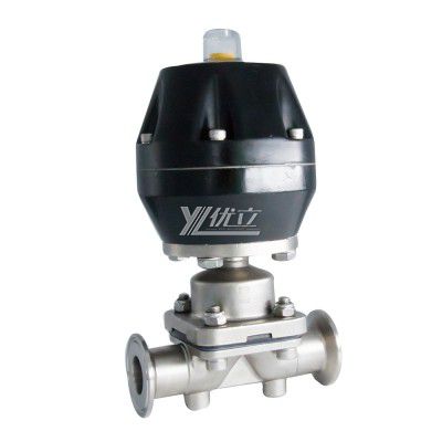 Stainless Steel SS316L Pneumatic Diaphragm Valve with Plastic Actuator